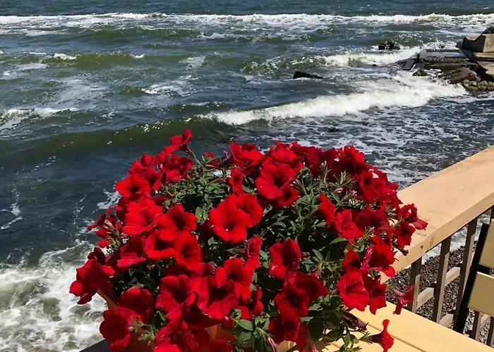 Old Center Ekaterininskaya 39 公寓 敖德萨